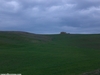 Val d'Orcia hillside